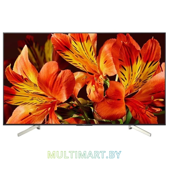 Телевизор Sony KD-85XF8596